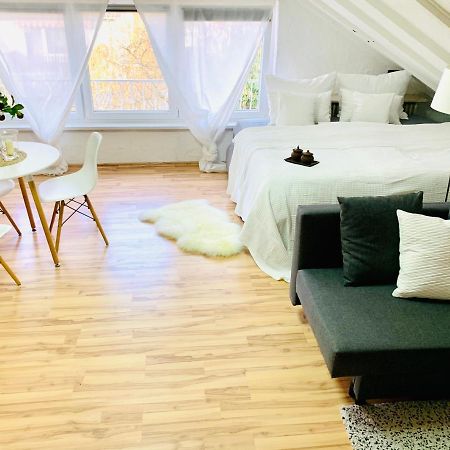 Studio Apartment In Direkter Naehe Zur Uniklinik Homburg Хомбург Екстериор снимка