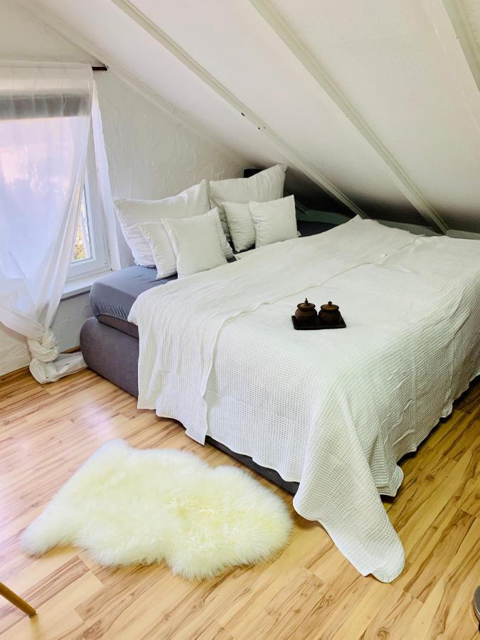 Studio Apartment In Direkter Naehe Zur Uniklinik Homburg Хомбург Екстериор снимка