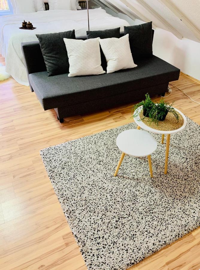 Studio Apartment In Direkter Naehe Zur Uniklinik Homburg Хомбург Екстериор снимка