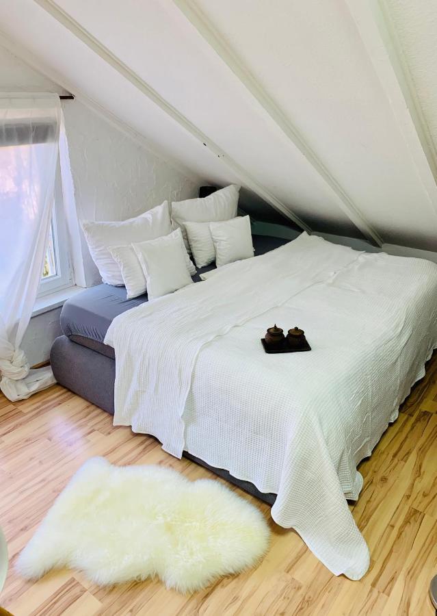 Studio Apartment In Direkter Naehe Zur Uniklinik Homburg Хомбург Екстериор снимка