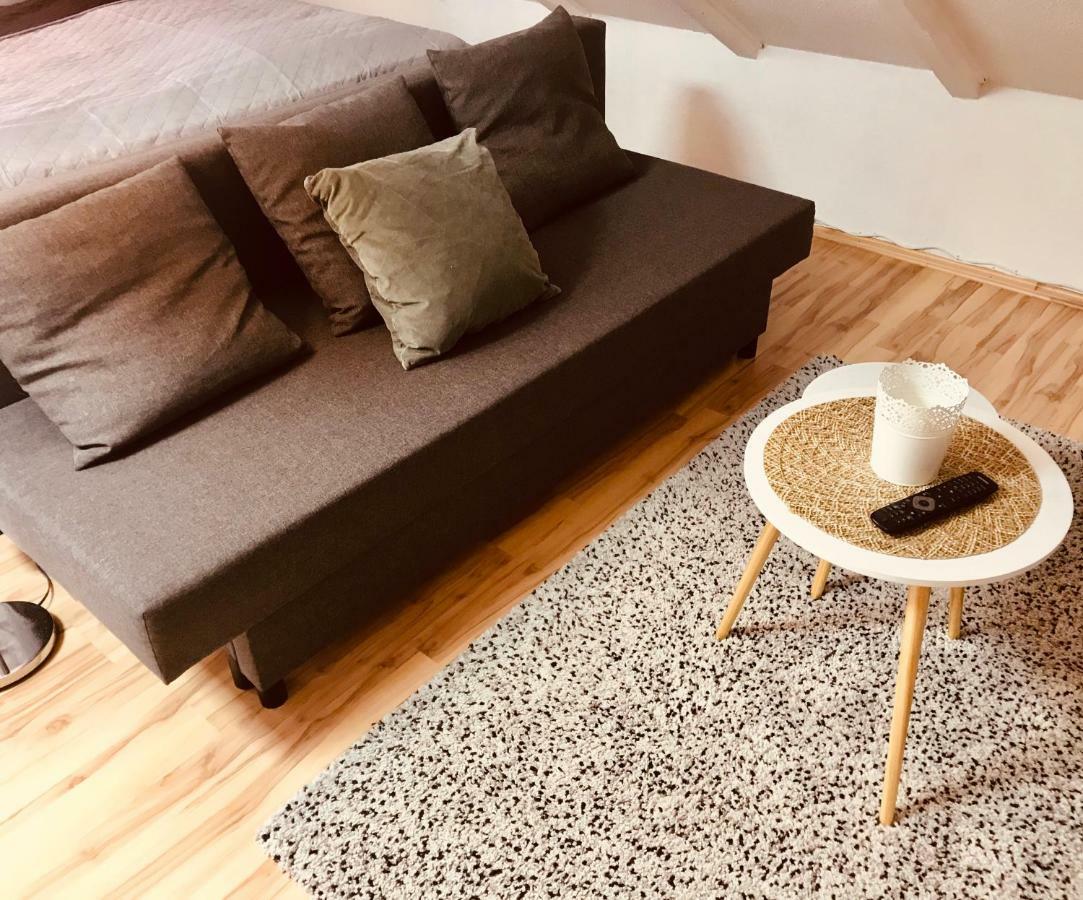 Studio Apartment In Direkter Naehe Zur Uniklinik Homburg Хомбург Екстериор снимка