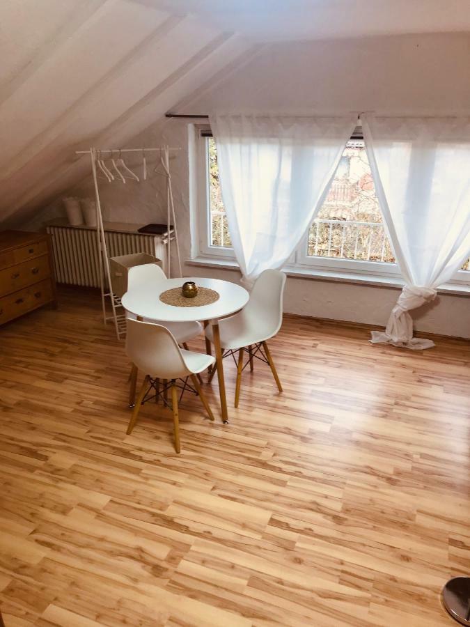 Studio Apartment In Direkter Naehe Zur Uniklinik Homburg Хомбург Екстериор снимка